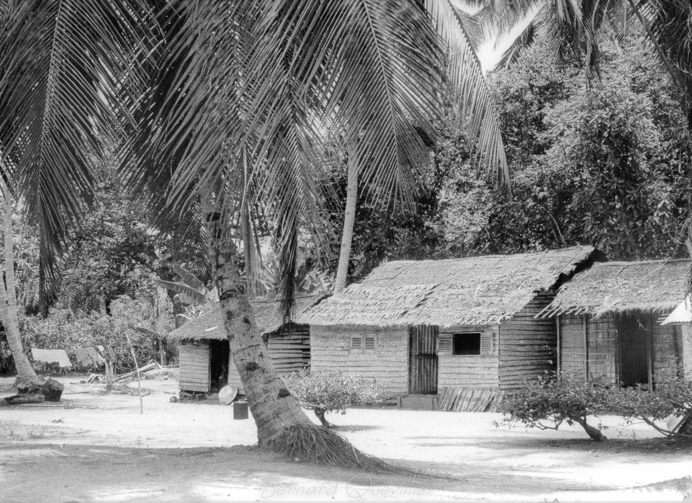 s-jour-au-cameroun-1965-1070